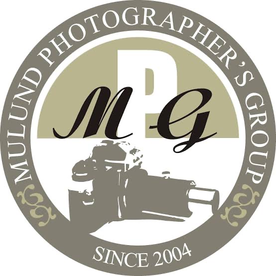 Maternity Shoots